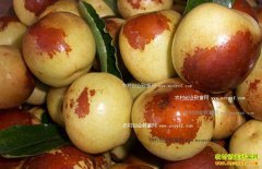 2016�궬��۸����飺�����ͬ���»����л򷴵�