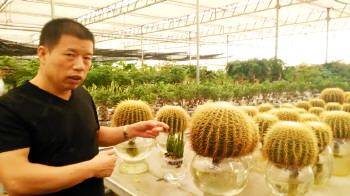 �θ���������˽���ˮ���������