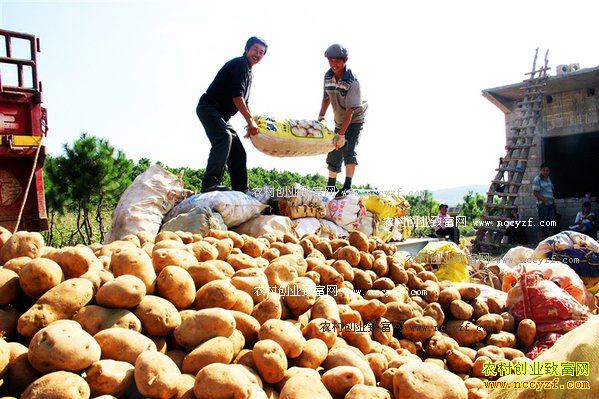 �����������ƴ�ͳ��������Ӫģʽ