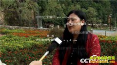 [�¸���]�����ٽ��������Ͽ���Խ���