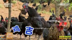 [ÿ��ũ��]�ö����ڹǼ���һ�� ��ֳ�ڼ���׬Ǯ