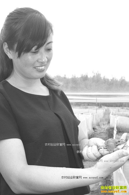 �Ĵ��ɶ�˫������������������׬����Ԫ