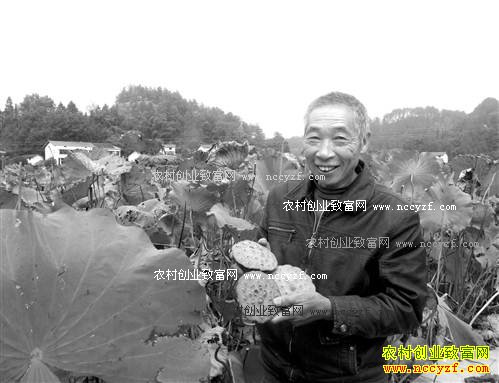 �����ϴ���°���ֲ������Ʒ�ְ���Ч���