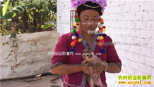 ��ͷС����α��ǧ��Ƹ�