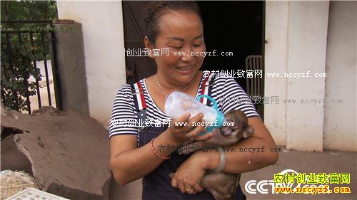 ��ͷС����α��ǧ��Ƹ�