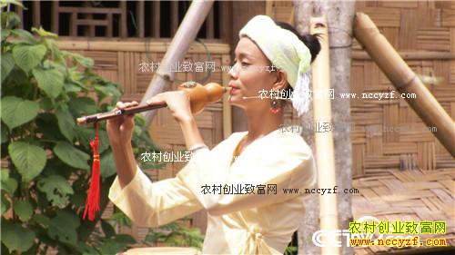 ��ͷС����α��ǧ��Ƹ�