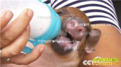 [�¸���]������˫������������ֳҰ�����ǧ��Ƹ����ϣ�