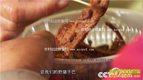 ��ͷС����α��ǧ��Ƹ�