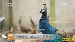 [ÿ��ũ��]��ҩ��ι����ȸ��ɽ��Ч���