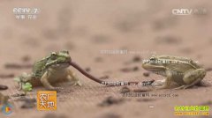 [ũ�����]�ֵ�������· ������Т��������ֳ��Ƶ