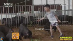 [ũ�����]�Ĵ��������������ֲ˸�׬Ǯ