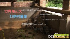 [�¸���]������˫������������ֳҰ�����ǧ��Ƹ����£�