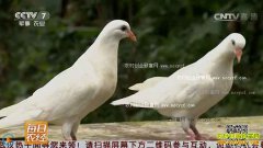 [ÿ��ũ��]���Ӷ�׬Ǯ�����ܣ����������ֳ��Ƶ