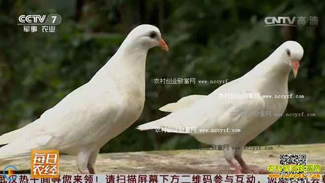 [ÿ��ũ��]���Ӷ�׬Ǯ�����ܣ����������ֳ��Ƶ