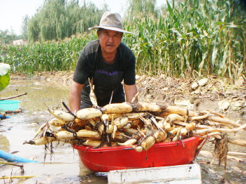 ɽ��������������źĶ����1���Ԫ