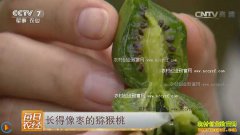 [ÿ��ũ��]�������������⨺���Ч���