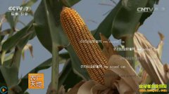 [ũ�����]�����������ױ����Ը���ģʽ��Ƶ