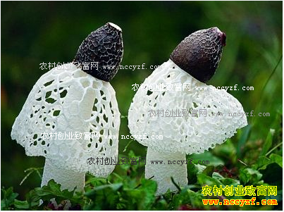 ���������غ��Ҳ���ֲ��ݥ�����¸�ɡ