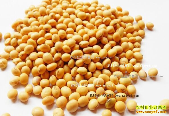 �󶹼۸��������Խ������ �����󶹼۸�������