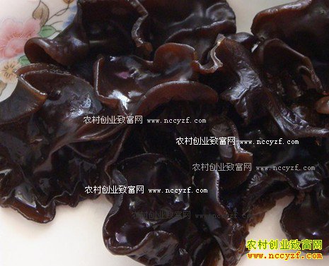 ��������ɽ���պ�ΰ 1000Ԫ��ʼ��ľ����ҵ�����ֵ900��