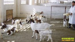 �＾���򳣼����ķ��μ�����ȫ