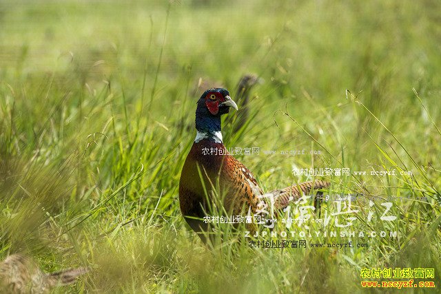 �㶫����80���ѧ�����ٱ귵����ɽ����ҵ�¸�