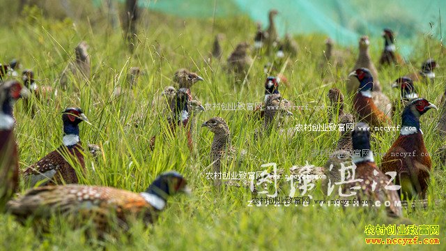 �㶫����80���ѧ�����ٱ귵����ɽ����ҵ�¸�