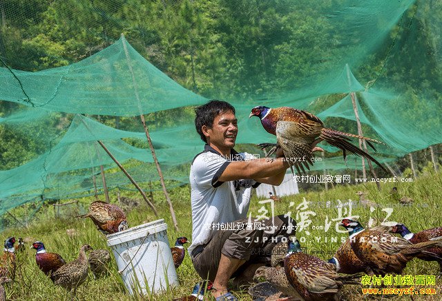 �㶫����80���ѧ�����ٱ귵����ɽ����ҵ�¸�