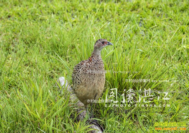 �㶫����80���ѧ�����ٱ귵����ɽ����ҵ�¸�