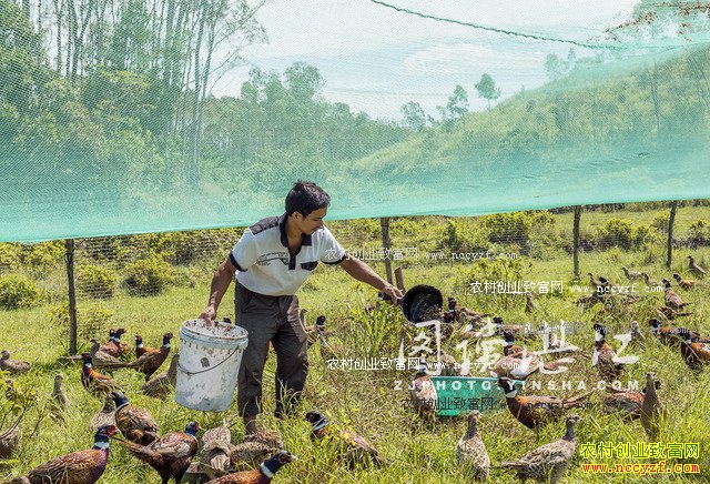 �㶫����80���ѧ�����ٱ귵����ɽ����ҵ�¸�