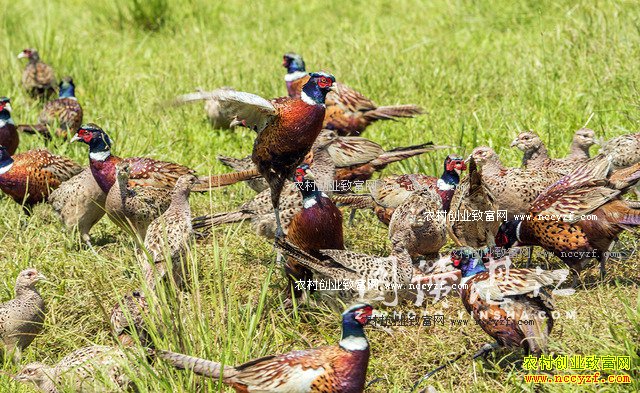 �㶫����80���ѧ�����ٱ귵����ɽ����ҵ�¸�