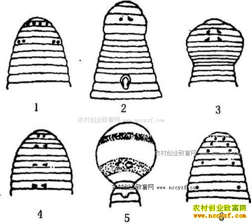 ��ֳˮ��֪ʶ