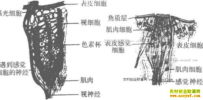 ��ô��ˮ��׬Ǯ