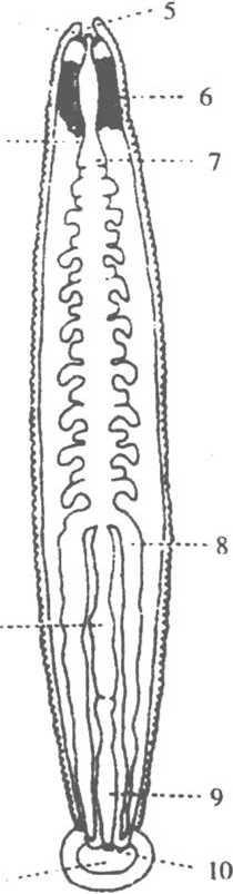 ˮ�ε�����ϵͳ