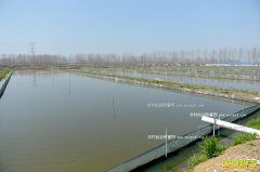 ������ֳˮ�Σ���ȣ���ˮ���˹���ֳ�����ַ�ʽ