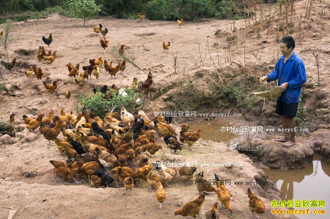 ������׬Ǯ�� ����ɢ�������ɱ�Ԥ�����������