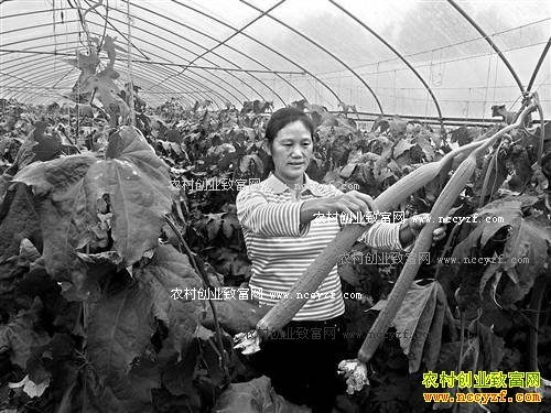 �����ϴ�����ǿ��ֲ�������˿��Ķ��4000��Ч���