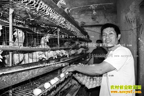 ����ᶼ¡̫ƽ���10��������������׬��Ǯ