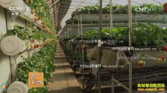 [ũ�����]��ݮ������ƽ��������Ƶ