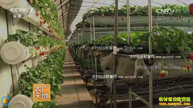 [ũ�����]��ݮ������ƽ�� 20161010