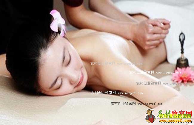 ��ɫ����