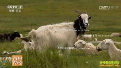 [ÿ��ũ��]����׬Ǯ�� �����׬Ǯ������