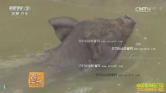 [ũ�����]���������� ������ֳ������ҵ�¸�