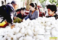 ɽ��ԫ����ֲɣ���ϳ���ƶ�¸�����Ŀ