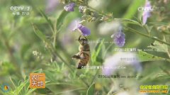 [ũ�����]��Т������ɾ͵�������ҵ