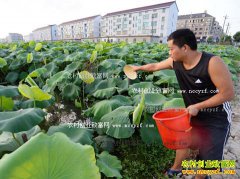 ����ϴ�������ź���������������󷭱�