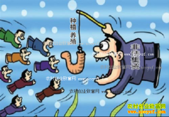 Ͷ����ֲ��ֳ�¸���Ŀ�����������ƭ��