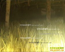 [ũ�����]�»����༼����Ƶ