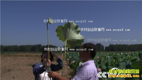 [�¸���]ˮ���￪���Ľ����� ɽ����̨��־��������ֲ�¸���