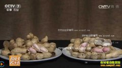 [ÿ��ũ��]���Ӱ����Ļ�������� ��ֲ�����Ứ��Ч���